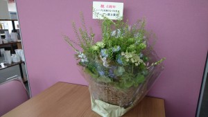 15266908110863203848021205361089